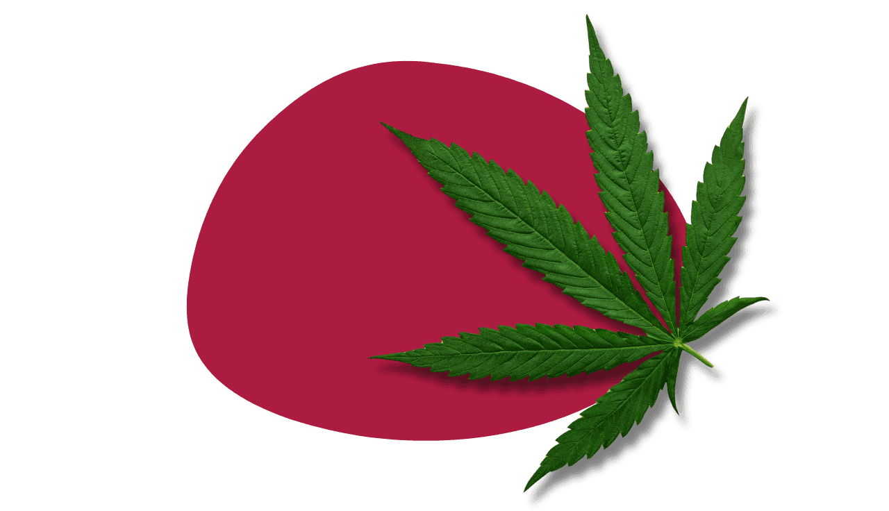 Cannabisblatt auf roten Hintergrund